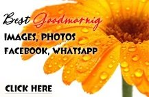 Good Morning Wish Cards for FB and Whats App