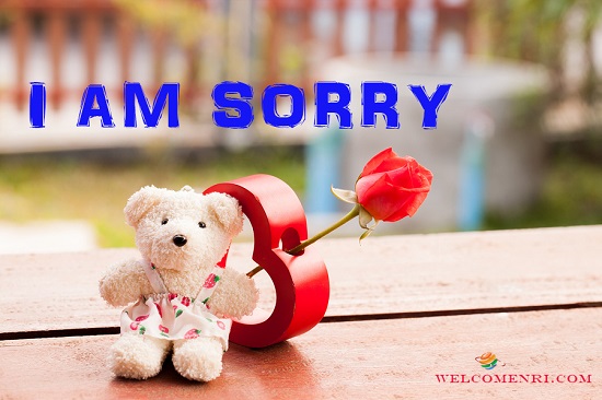 I Am Sorry  Photos