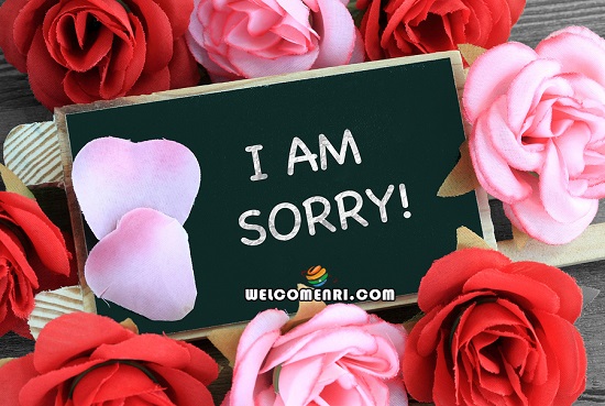 I Am Sorry  Images