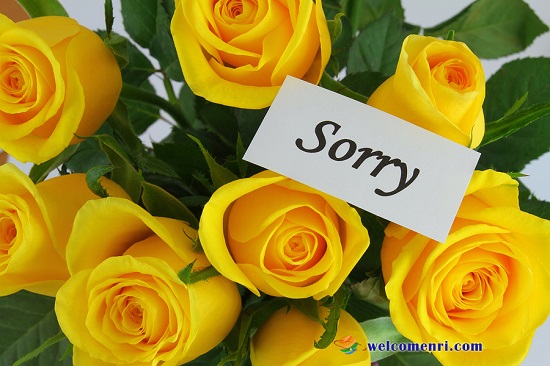 Sorry Images Girlfriend
