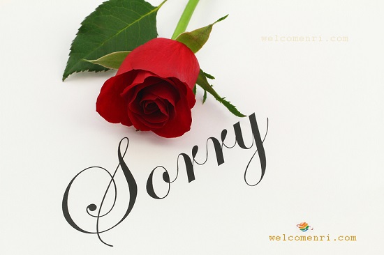 Sorry  photos and images
