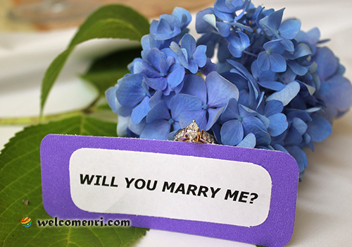 Will You Marry Me Cards