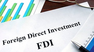 Liberalised FDI makes India hot biz spot for NRI investors