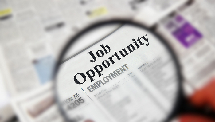 job opportunities returning to india