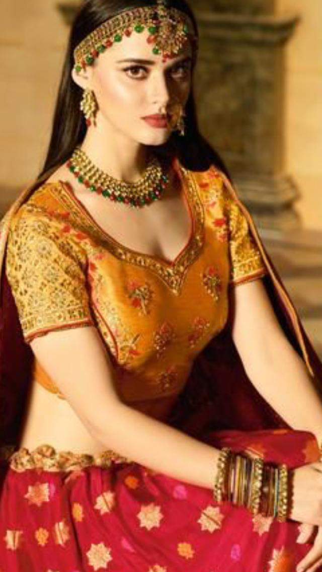 Bridal Lehenga Choli