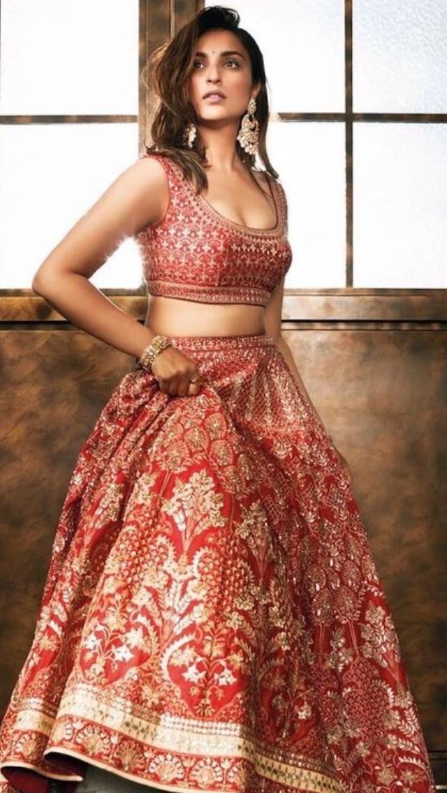 Bridal Lehenga Choli