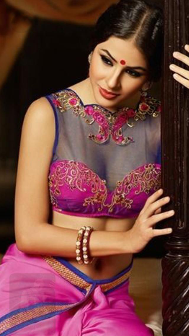 Designer Saree Blouse