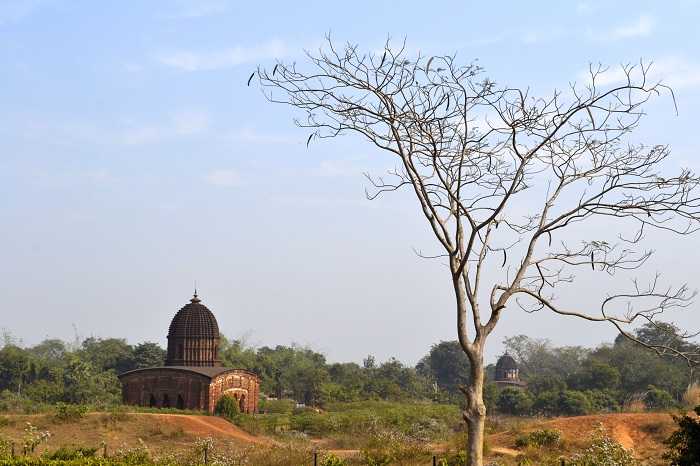 Places To Visit Near Kolkata In Winters 