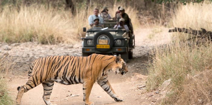 Ranthambore Ranthambore