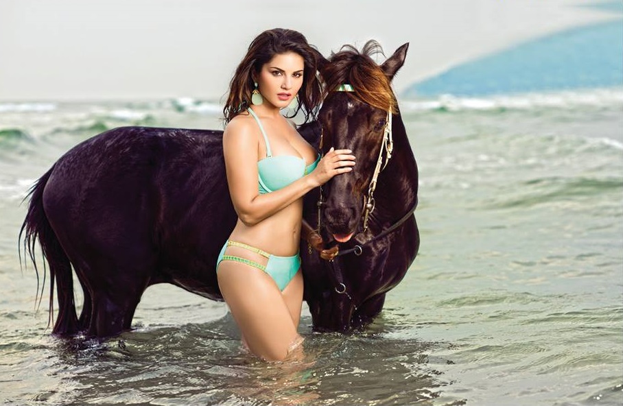 Hot Pics Of Sunny Leone in Manforce Bikini Calendar