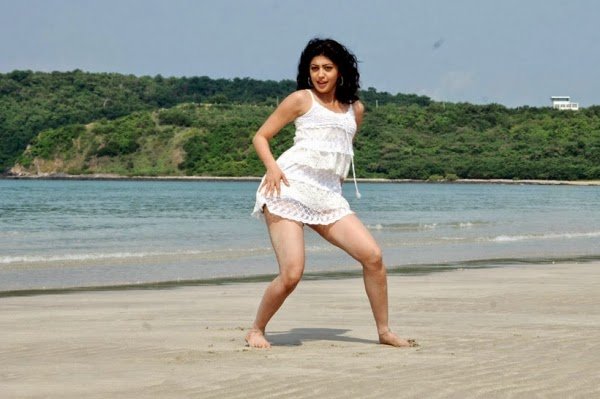 ACTRESS IMAGES 2014 ACTRESS IMAGES 2014