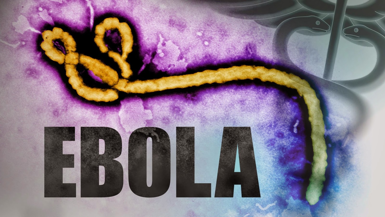 ebola-virus-information-in-hindi