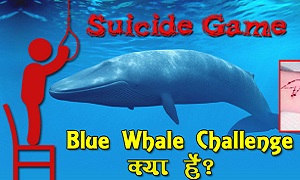 ब्लू व्हेल चैलेंज जानिए इस खतरनाक गेम के बारे में | Blue Whale Suicide Game in Hindi