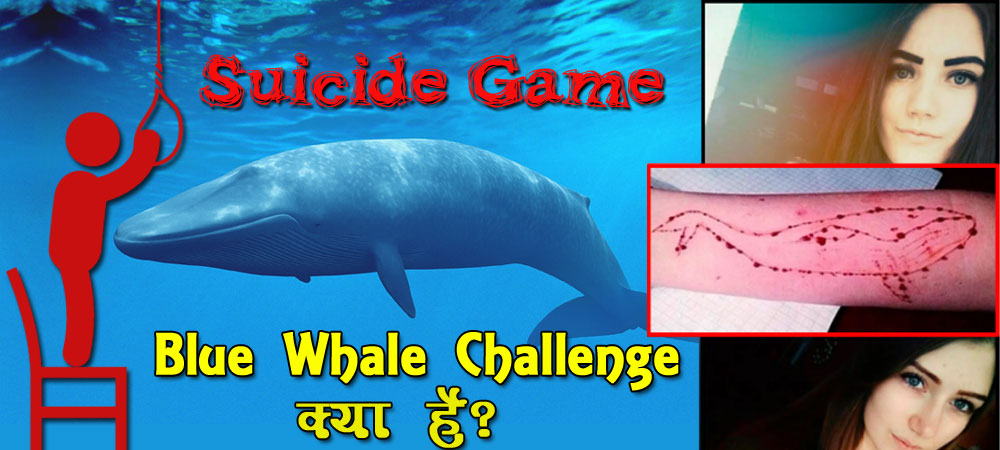 what is blue whale suicide game hindi