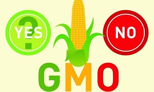 what is GM Crops its Pros & Cons