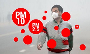 What is PM 2.5 and PM 10, Health Effects