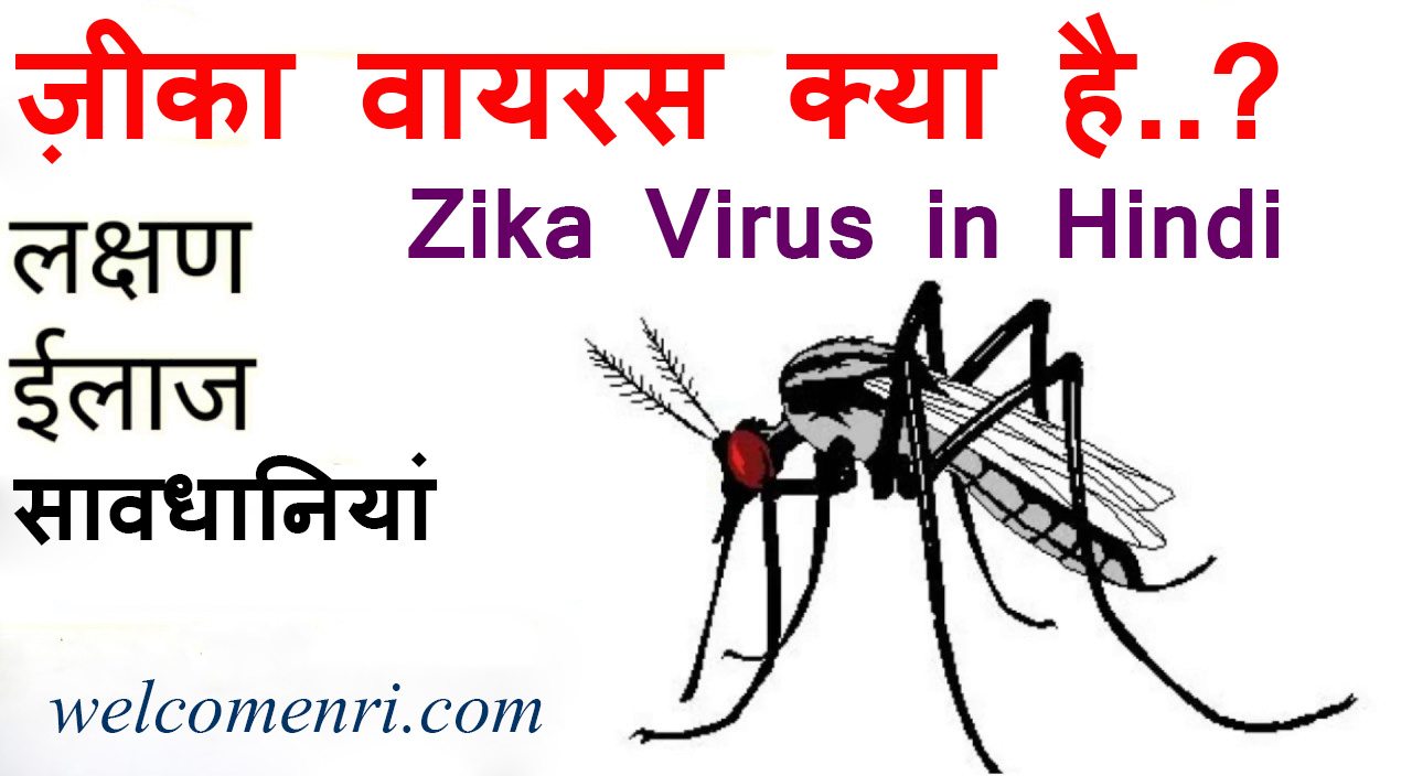 what-is-zika-virus-in-hindi